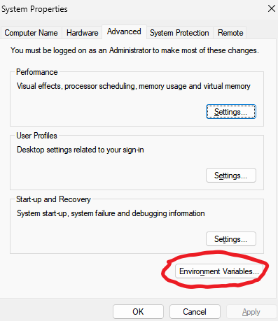 Click on "Environment Variables...